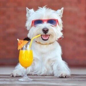 Meet your Posher, Caroline